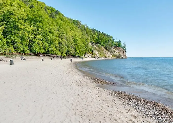 By The Forest Гдиня